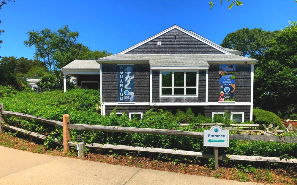 Cape Cod museum of Natural History
